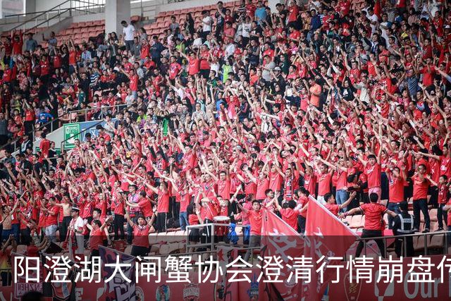 阳澄湖大闸蟹协会澄清行情崩盘传言：正宗阳澄湖大闸蟹供需平稳